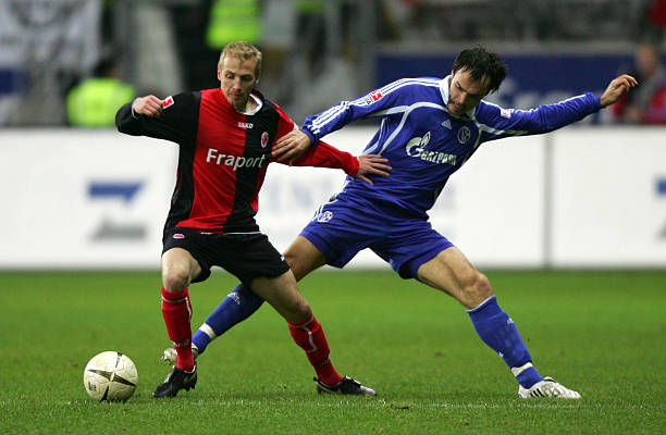 的现象并不 的现象并不